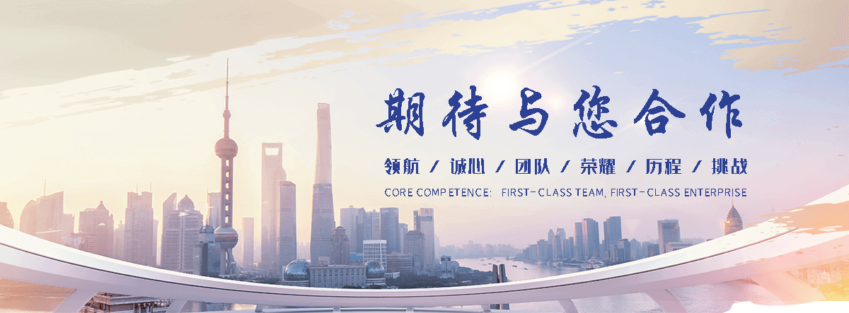 上海轮胎破碎机